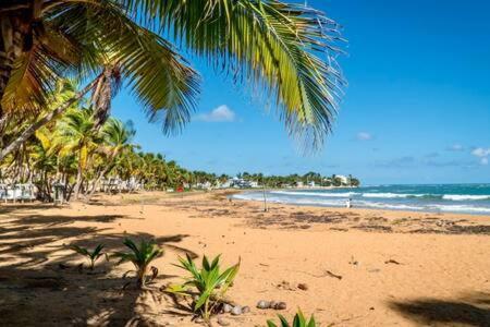 Seaside Serenity - Cozy Studio Apartment Luquillo Ngoại thất bức ảnh